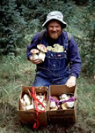 Norm And Boletes